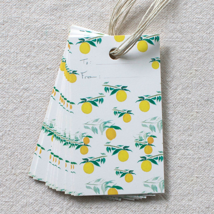 Citrus Pattern Gift Tags, Set of 10