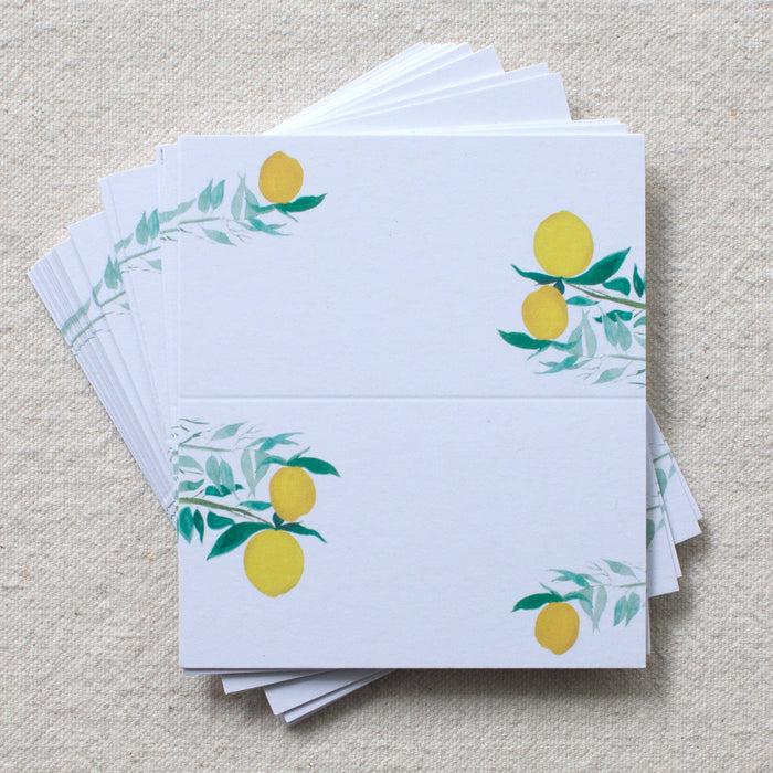 Citrus Branches Places Cards, Set of 24