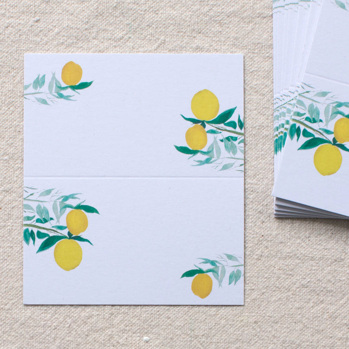 Citrus Branches Places Cards, Set of 24